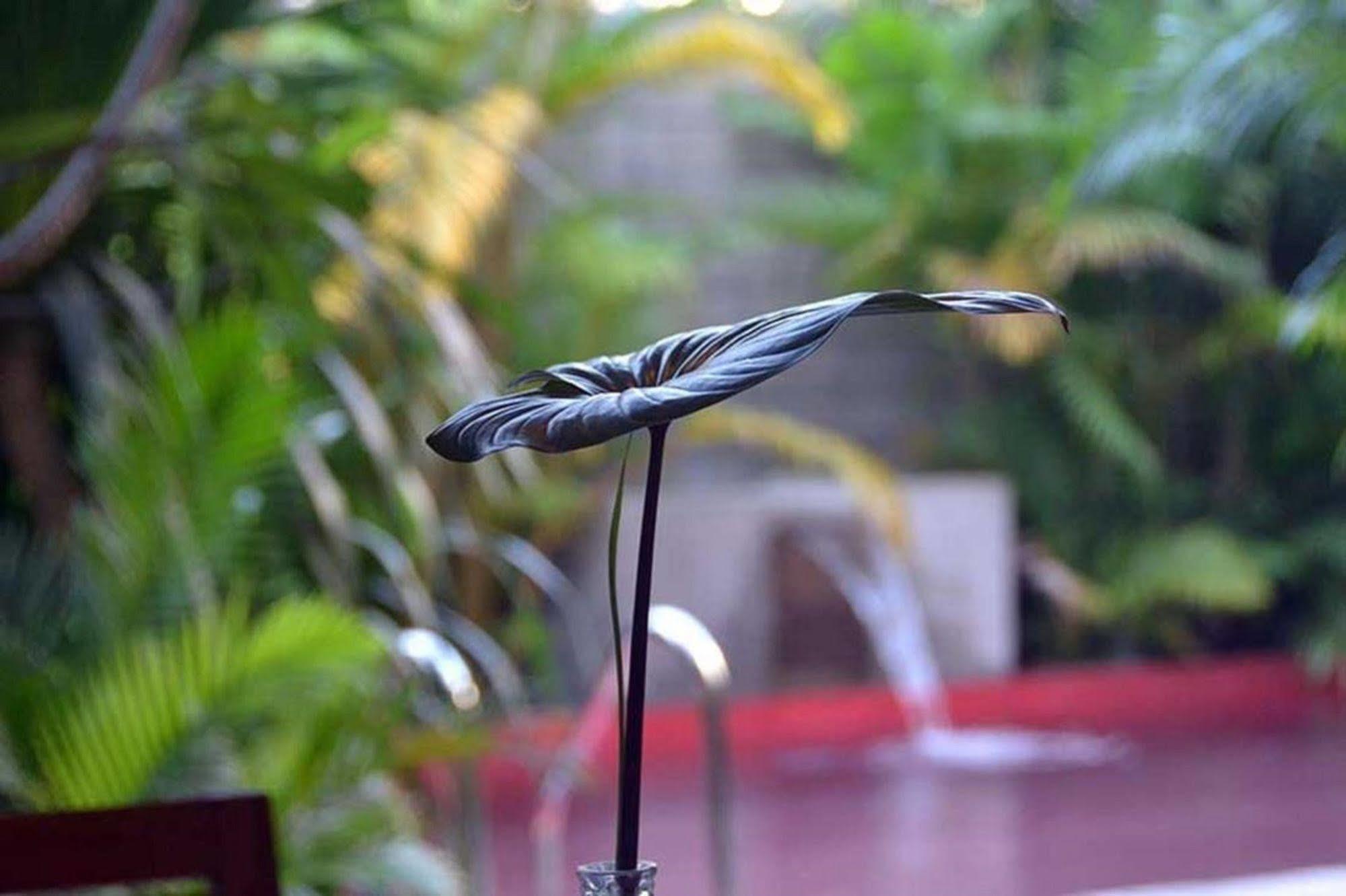 Tranquil Villa Phnom-Penh Buitenkant foto